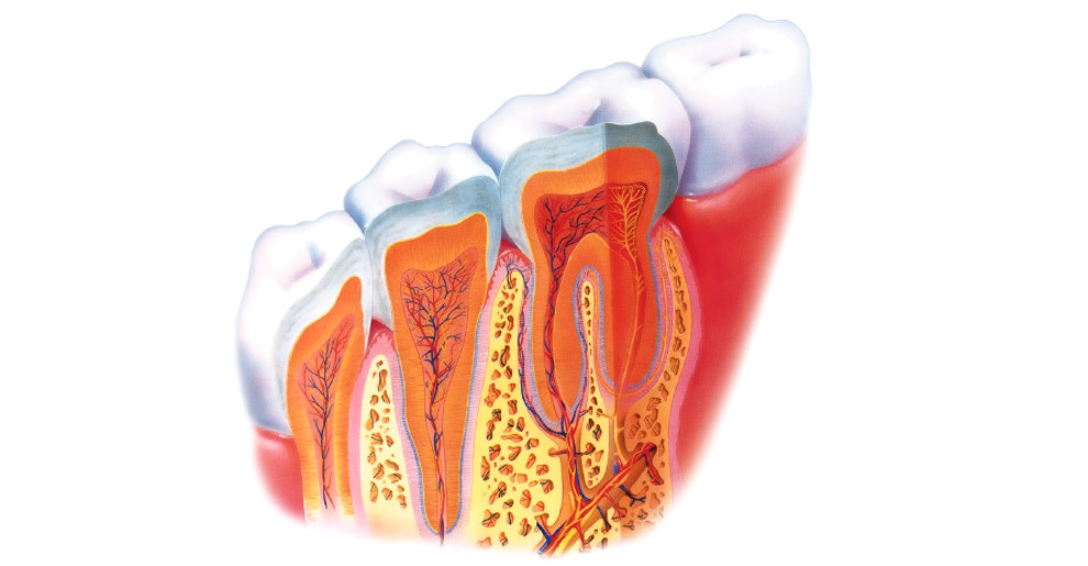 GINGIVITIS*