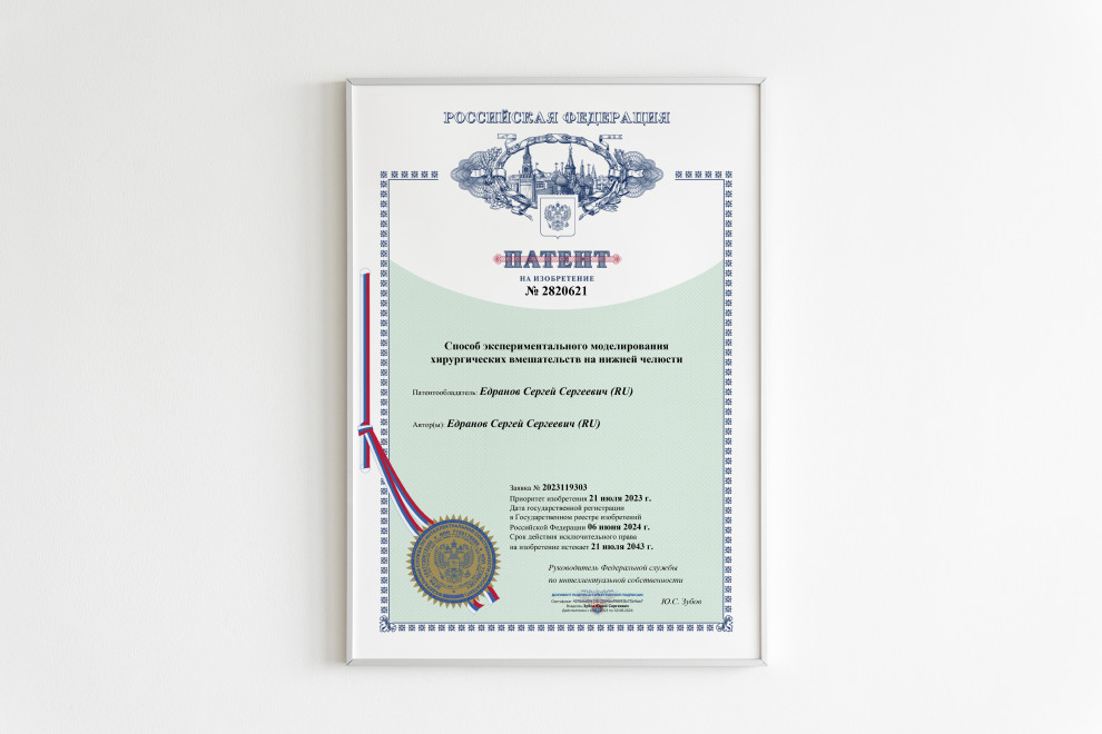 Получен патент на изобретение «Способ экспериментального моделирования хирургических вмешательств на нижней челюсти».